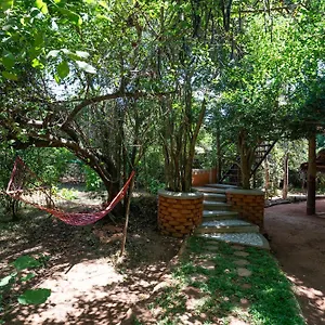 Lodge The Thick Forest